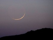 10428020_10152947633347296_3789061005911355984_n